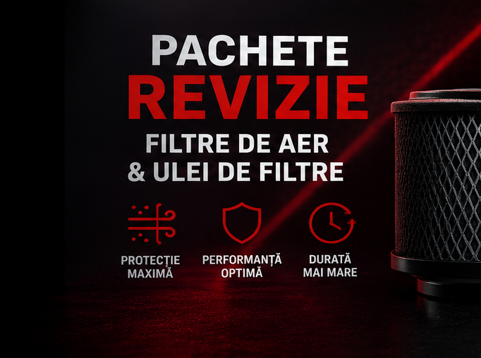 Promotie Filtru Aer VAG